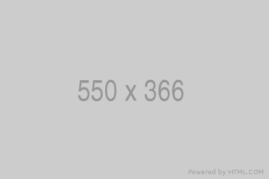 550x366